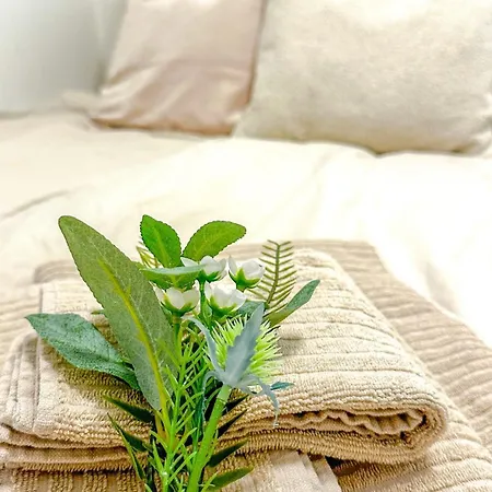 Comfortable Apartment, Excellent Location アパート